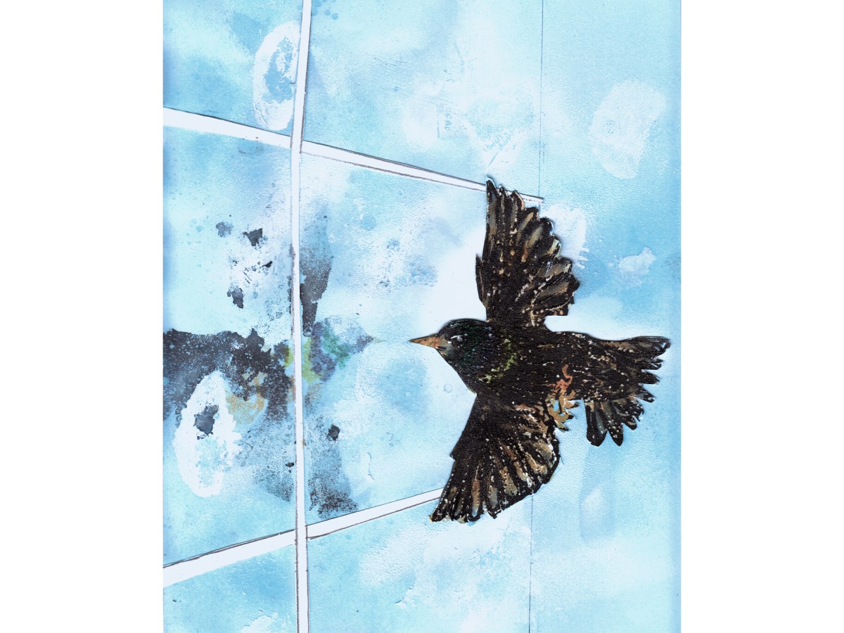 jacqui Releases Starling EP